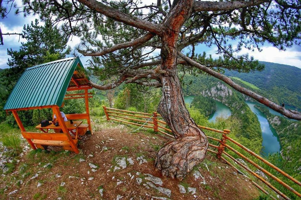 Bungalovi Mijakovici Pljevlja Extérieur photo